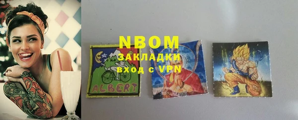 стаф Аркадак