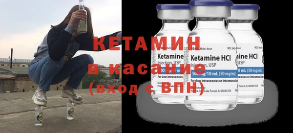 стаф Аркадак