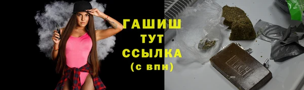 стаф Аркадак
